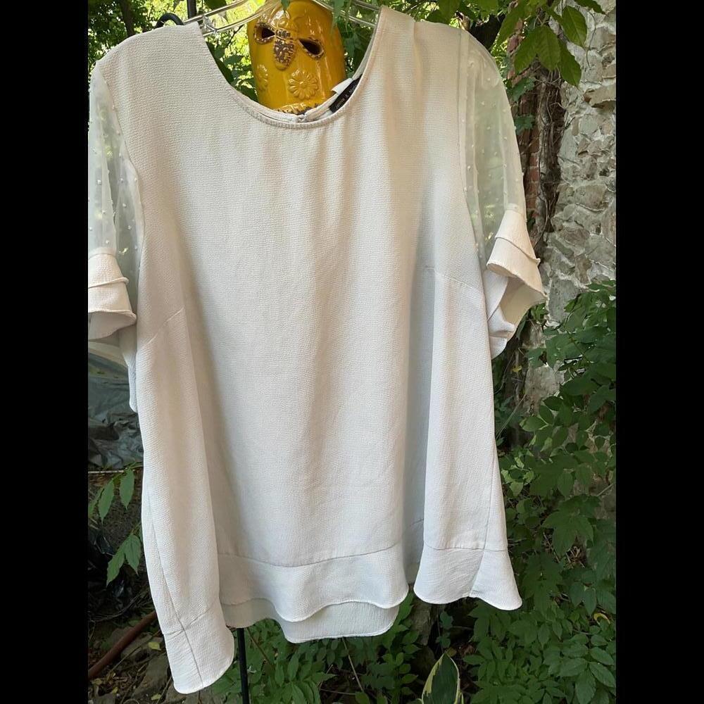 Jennie and Marlis Woman Textured Blouse Semi Sheer  1X